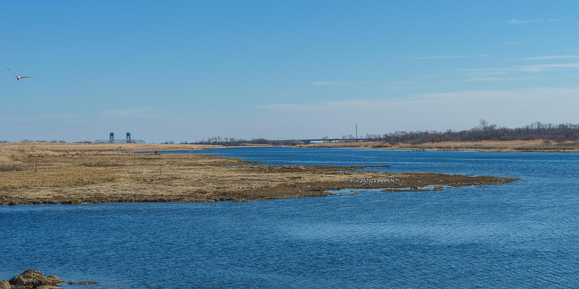 Lawrence Towers Apartments in Marine Park, Brooklyn NYC Rentals